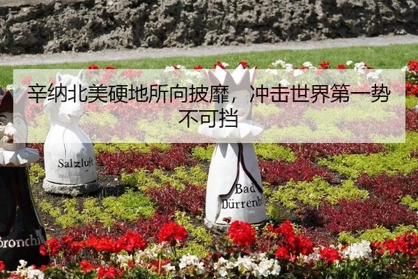 辛纳北美硬地所向披靡，冲击世界第一势不可挡