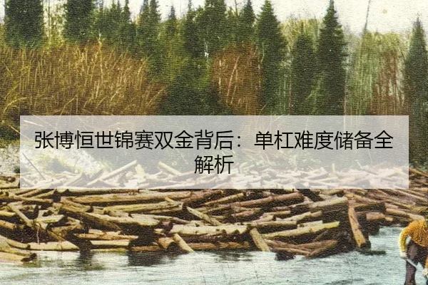 张博恒世锦赛双金背后：单杠难度储备全解析