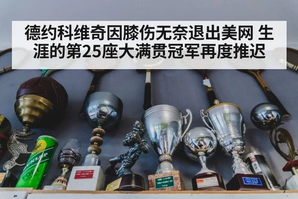 德约科维奇因膝伤无奈退出美网 生涯的第25座大满贯冠军再度推迟